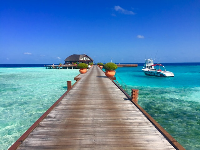 Raies manta Maldives